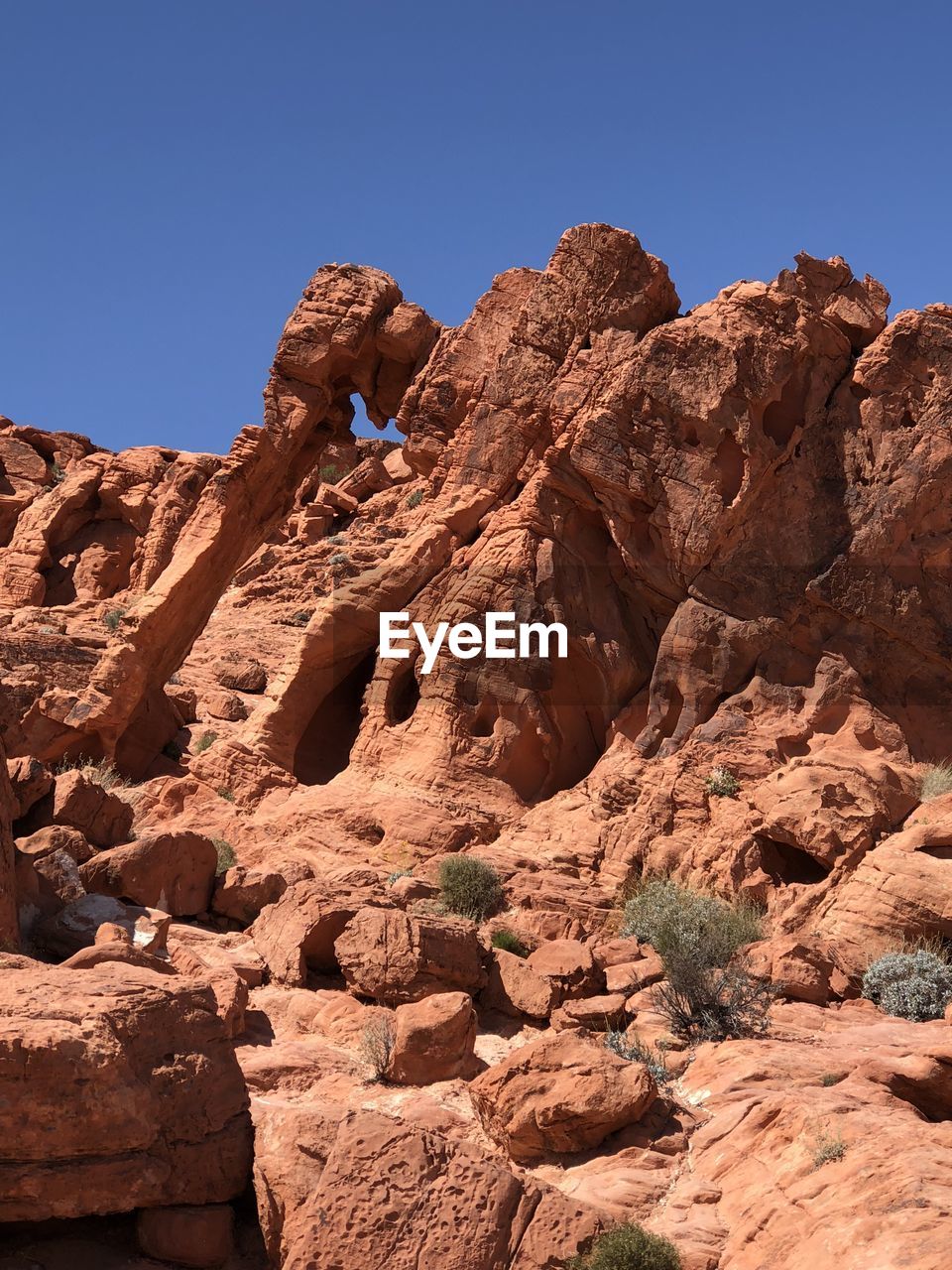 rock, nature, arch, rock formation, no people, low angle view, geology, sky, travel destinations, day, outdoors, formation, brown, soil, blue, tree, clear sky, beauty in nature, desert, travel, physical geography, sunlight, eroded