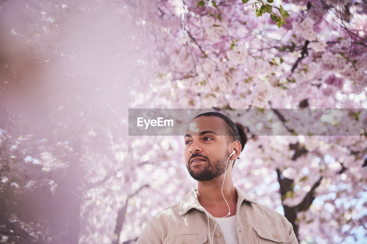 Young man standing under cherry blossom and listening to music