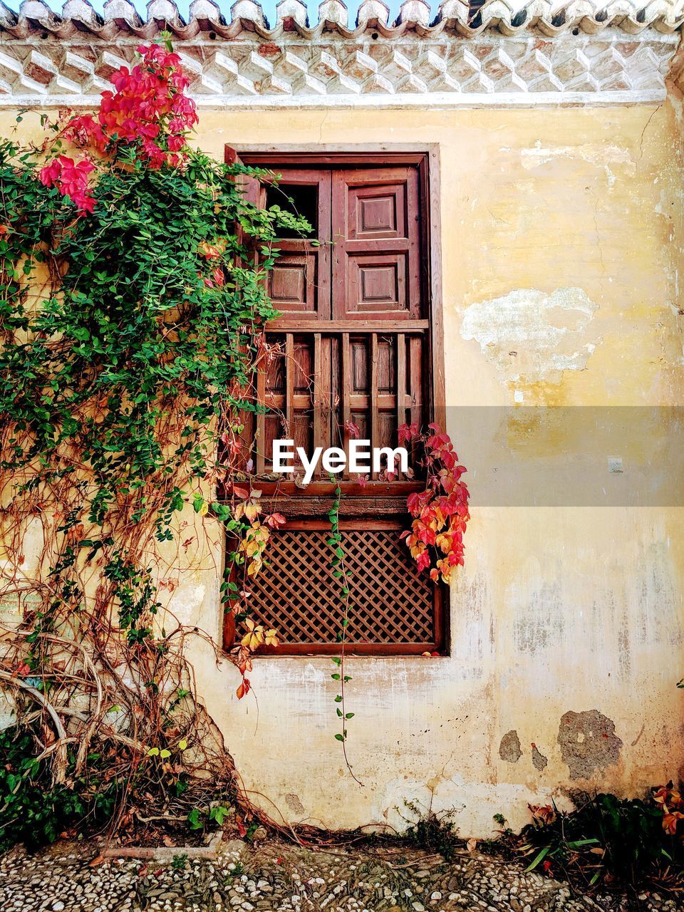 HOUSE WINDOW WITH FLOWERS