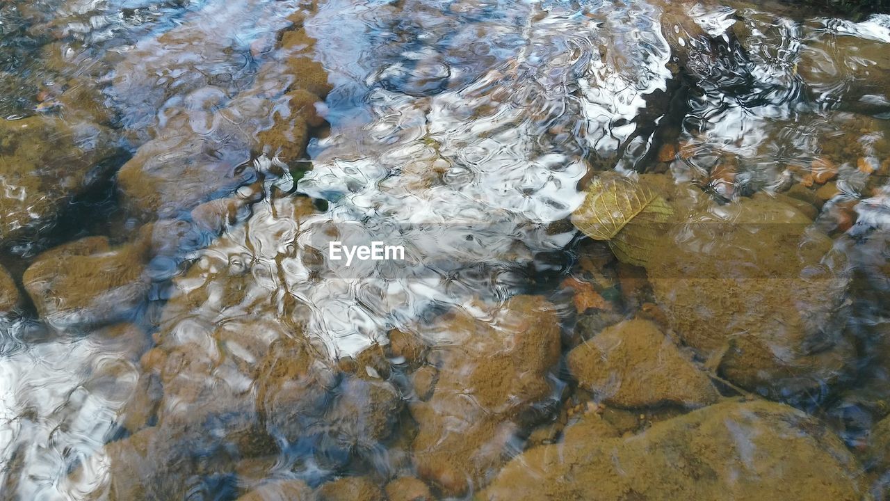 CLOSE-UP OF SNOW