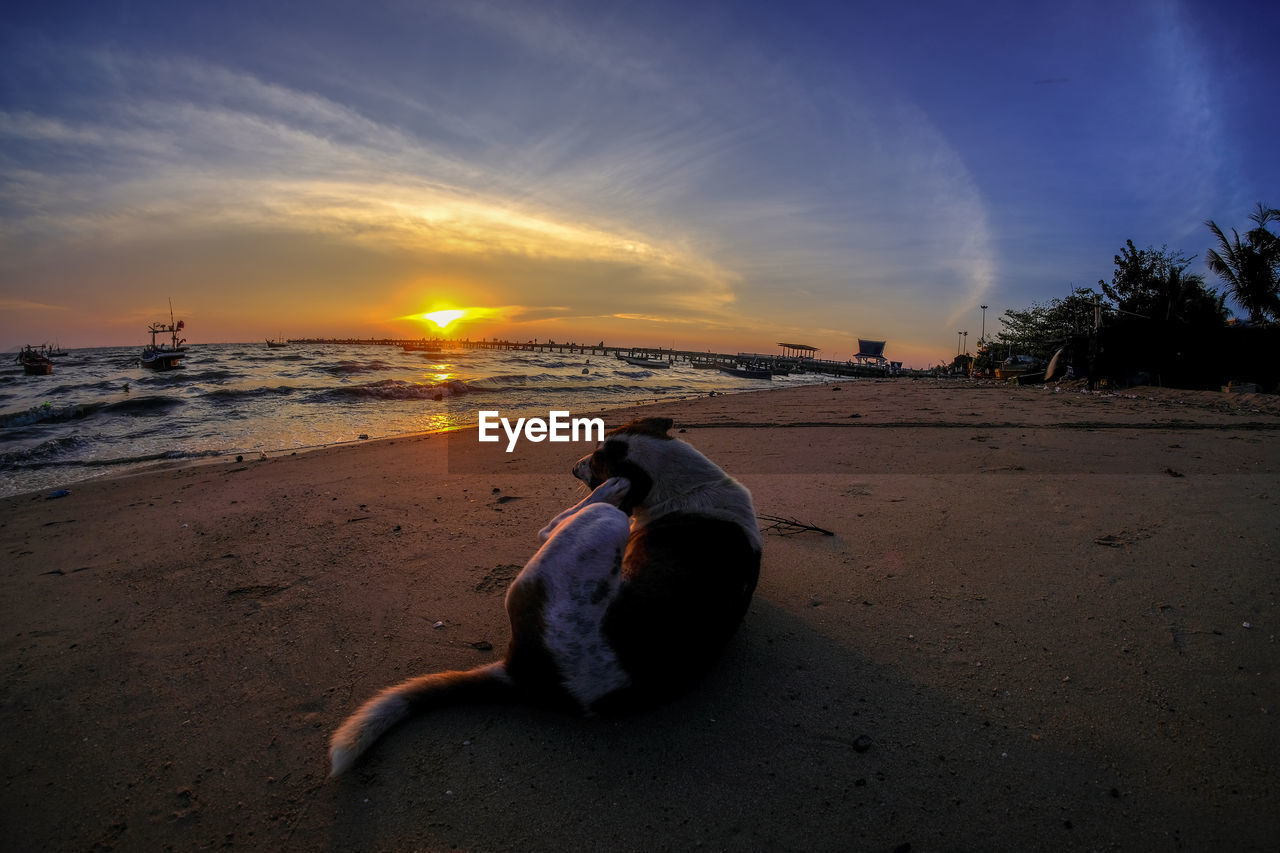 SCENIC VIEW OF BEACH DURING SUNSET