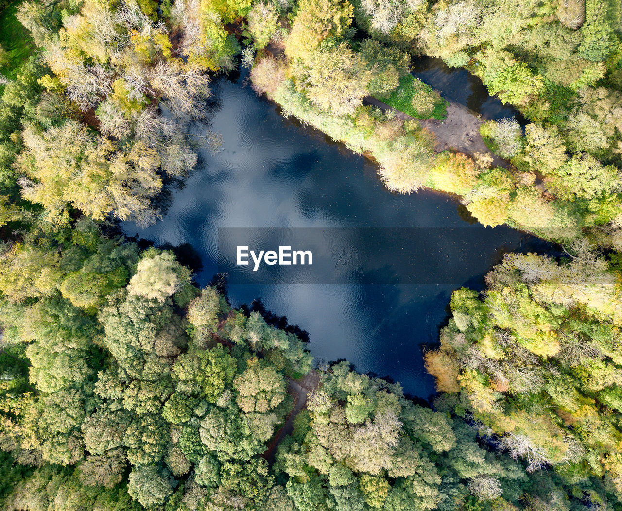 Aerial photo of the segmeertje pond in the meer en bos park in the hague with autumn-coloured trees.