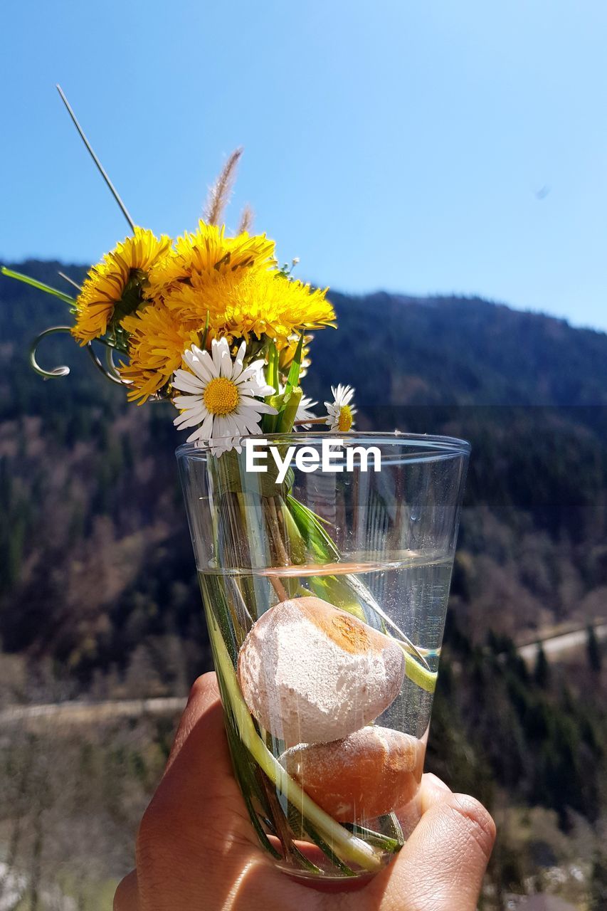 CLOSE-UP OF HAND HOLDING FLOWER ON GLASS