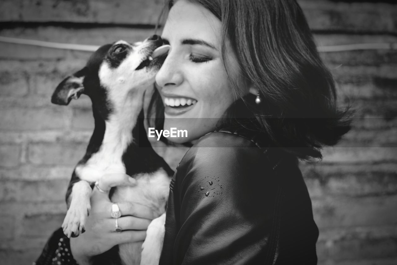 Close-up of chihuahua licking woman against wall