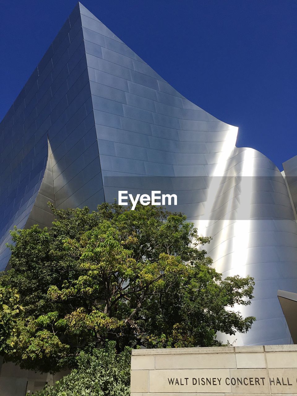 TREES AND MODERN BUILDING