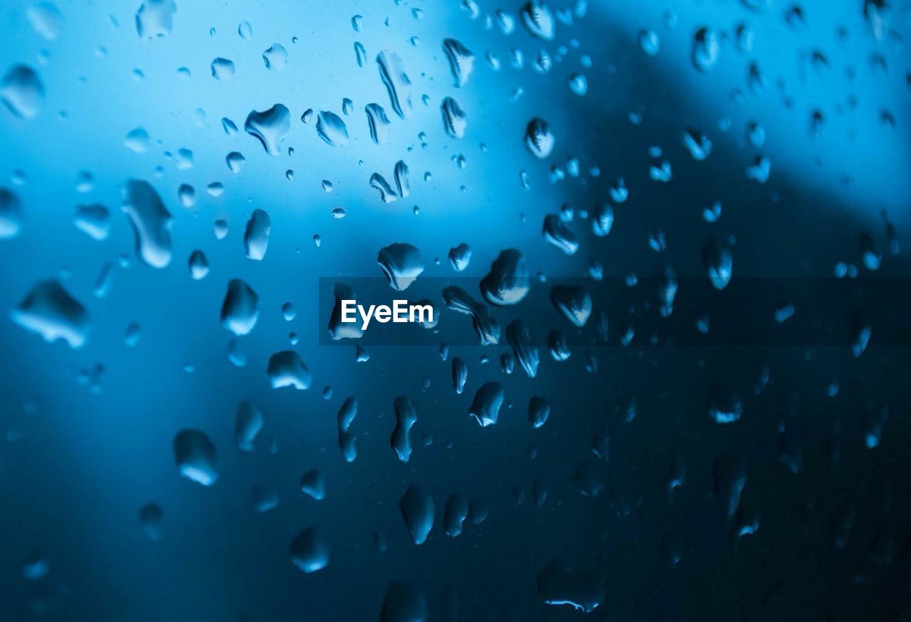 Close-up of rain drops