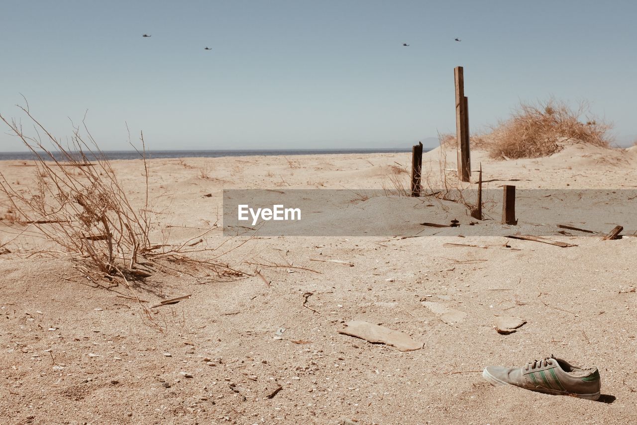 Abandon shoe on a sandy beach, close to the almost fully deserted bombay city and salton sea. flying 