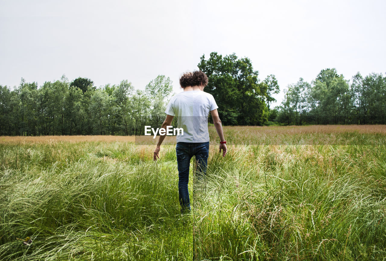 rear view of man standing on grassy field