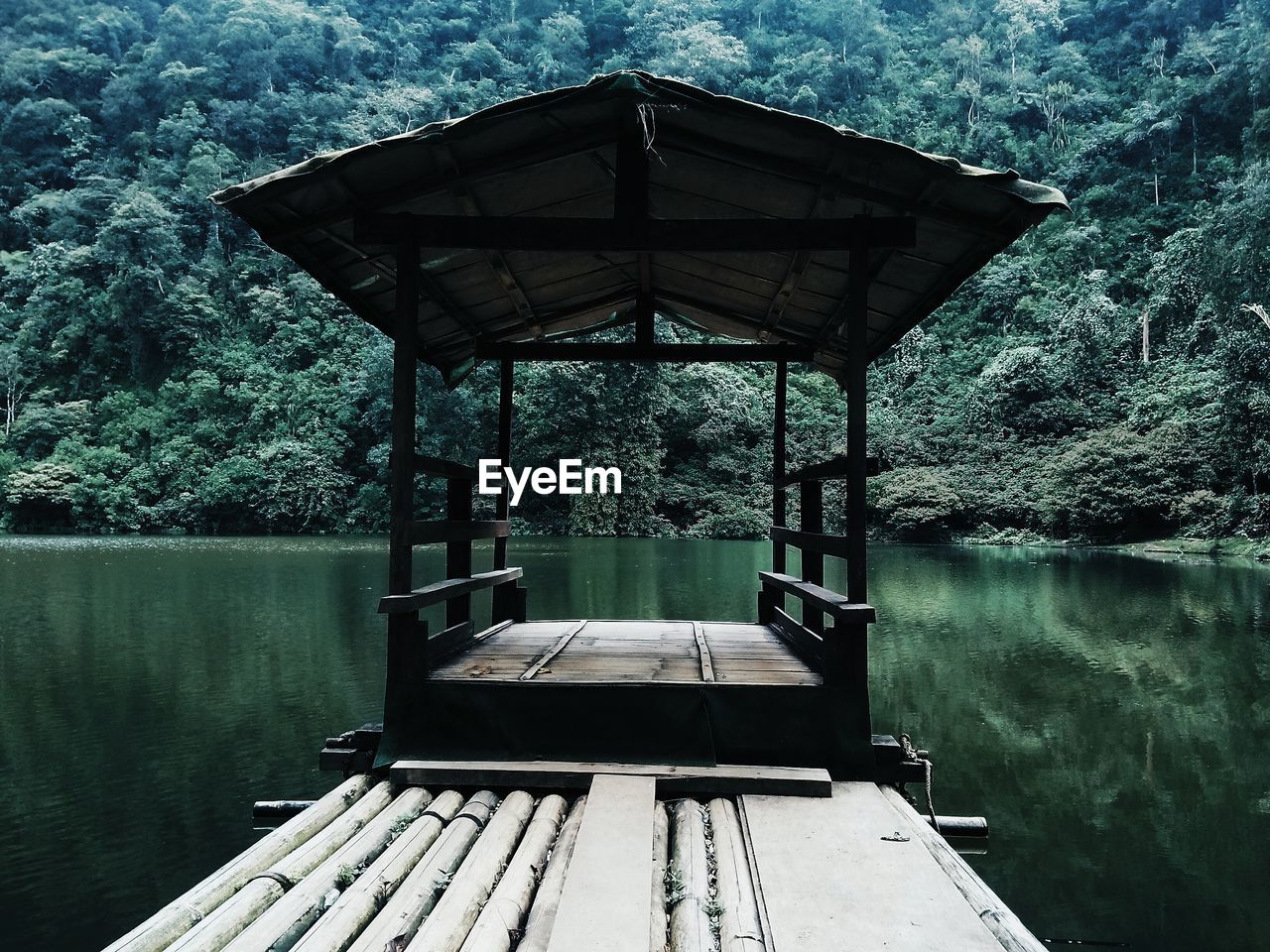 View of pier on lake in forest