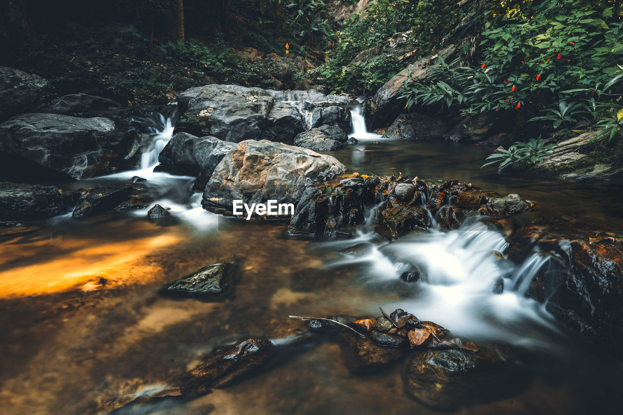 Water flowing through rocks in forest