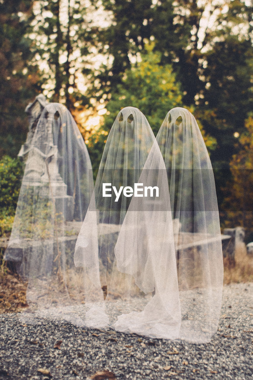 Double exposure of boys in ghost costumes against trees at cemetery during halloween