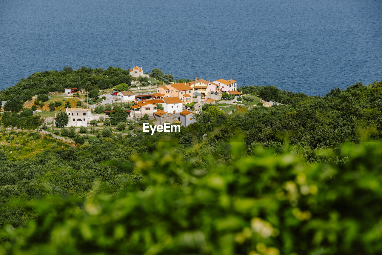 high angle view of townscape by sea against trees