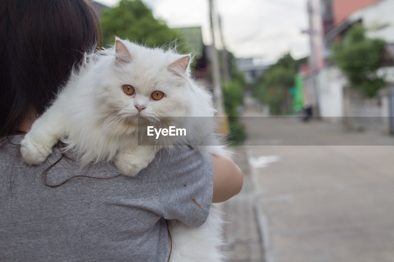 Rear view of woman carrying cat on shoulder at footpath