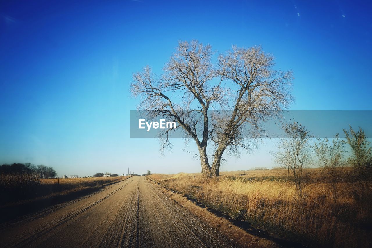 Dirt road in countryside