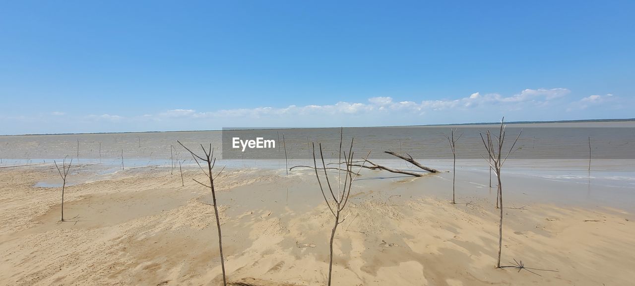 land, sky, beach, sand, water, sea, natural environment, nature, scenics - nature, dune, shore, tranquility, beauty in nature, tranquil scene, day, body of water, horizon over water, no people, horizon, coast, environment, landscape, blue, outdoors, sand dune, ocean, cloud, non-urban scene, sunny, clear sky, sunlight, travel, copy space, travel destinations, coastline, marram grass