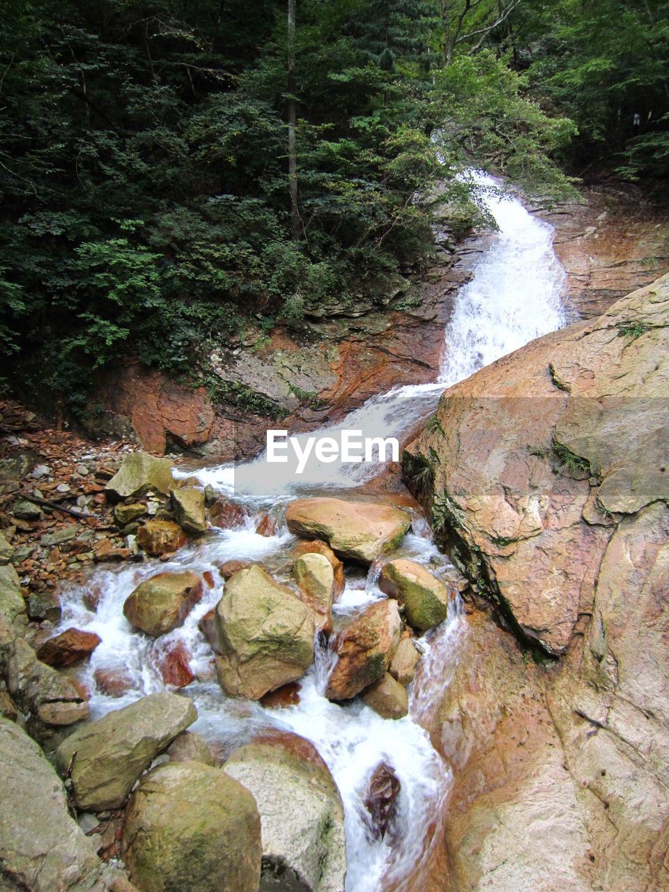 STREAM AMIDST ROCKS IN FOREST