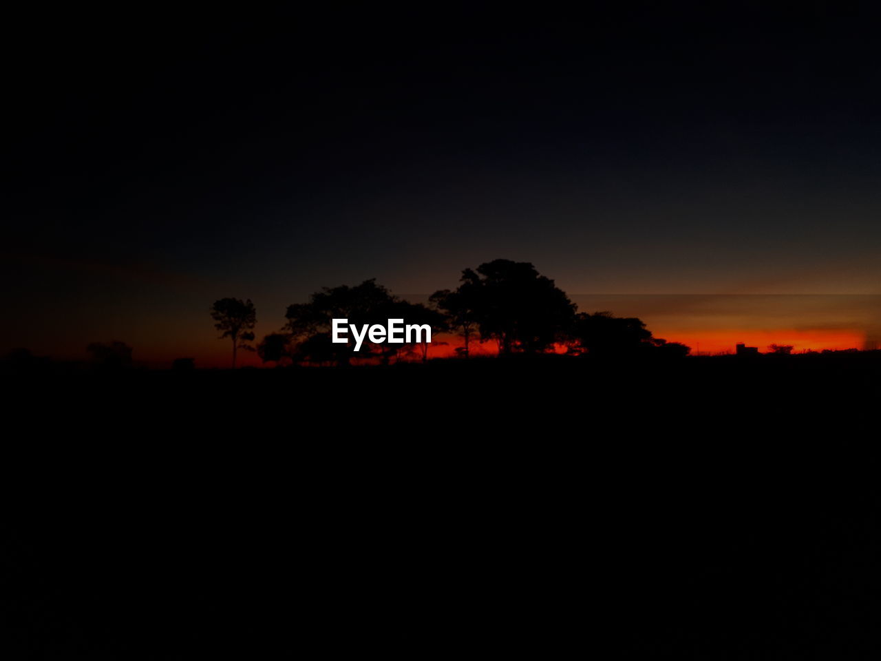 SILHOUETTE TREES ON LANDSCAPE AGAINST CLEAR SKY AT SUNSET