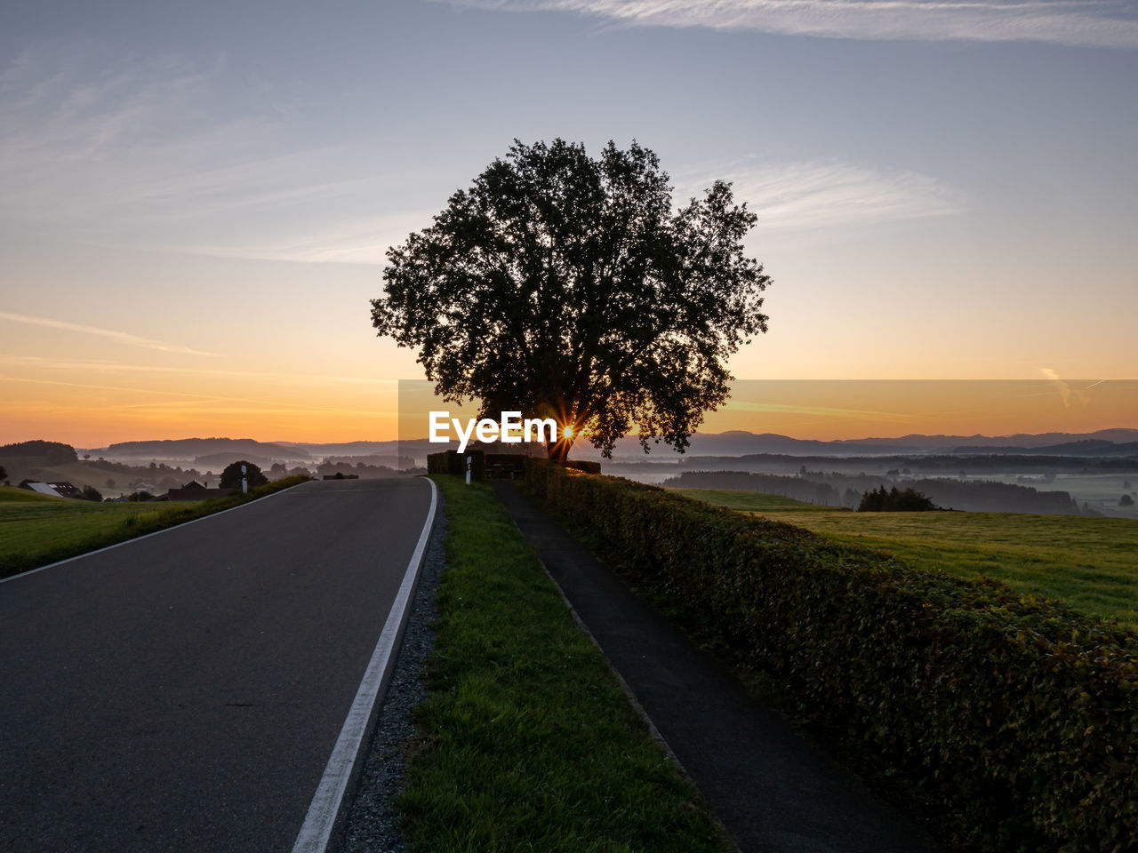 ROAD AMIDST TREES ON FIELD AGAINST SKY AT SUNSET