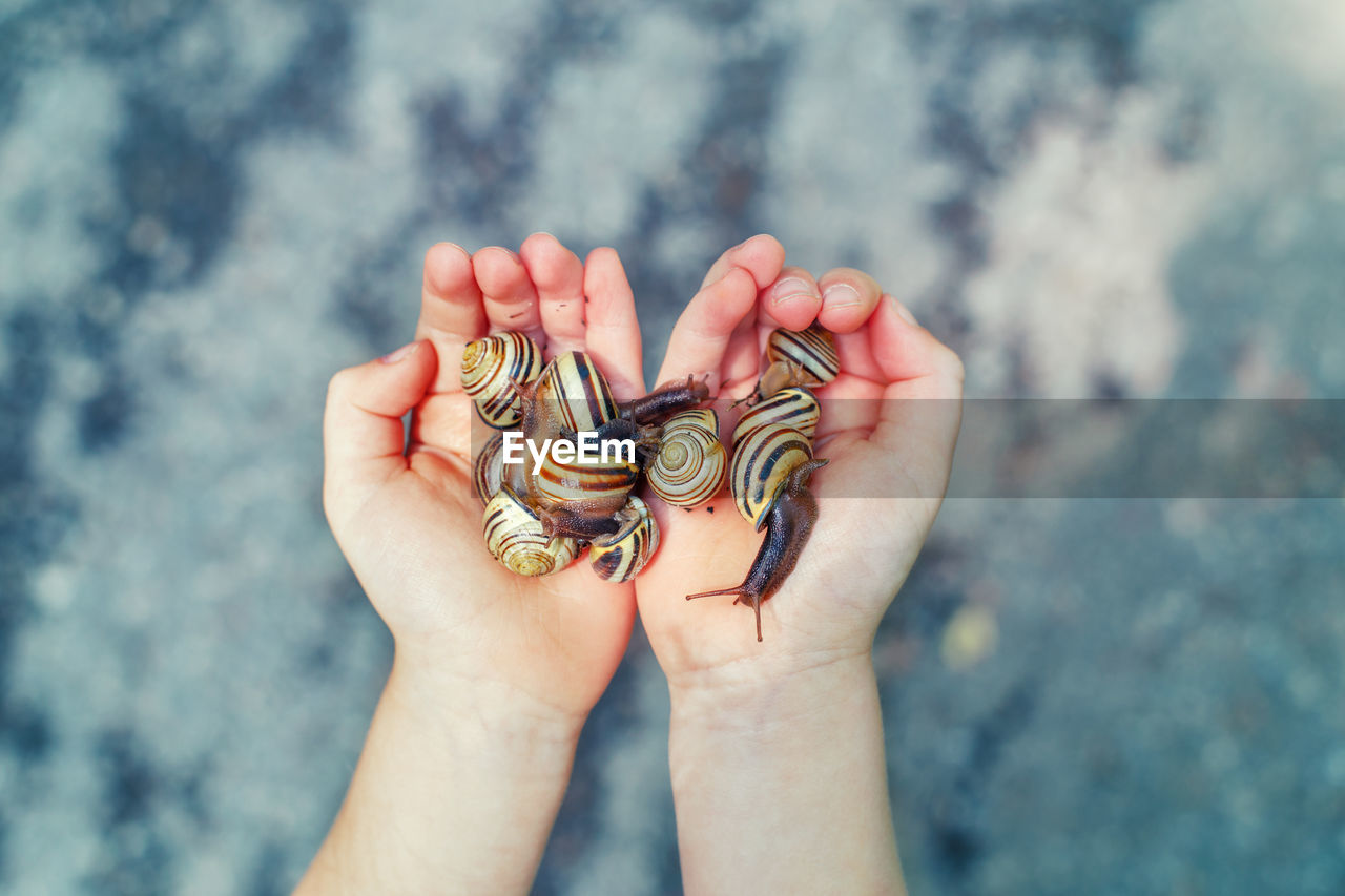 Close-up of hand holding snail outdoors