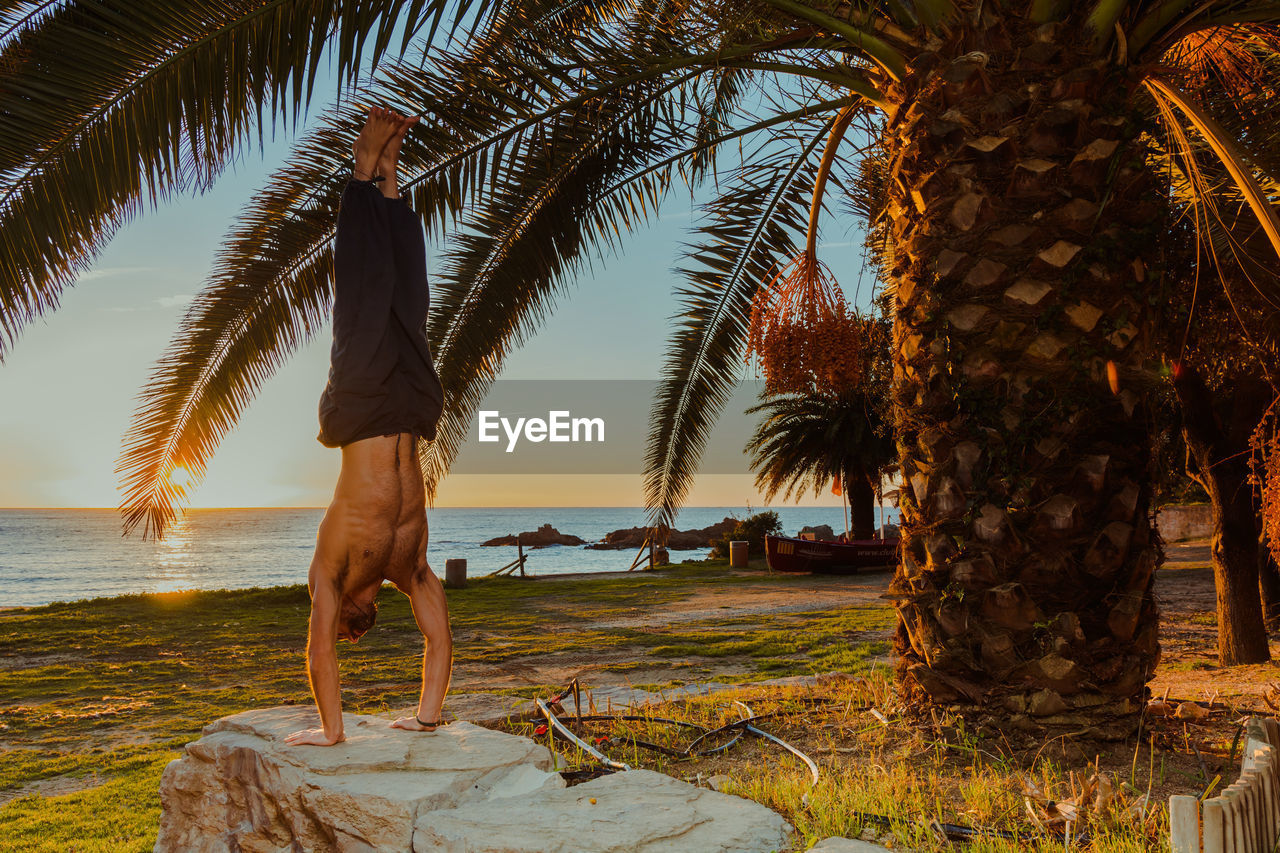 Side view of anonymous male shirtless athlete doing yoga poses on rocky fence with empty beach blue sea and palm leafs on background during sunset