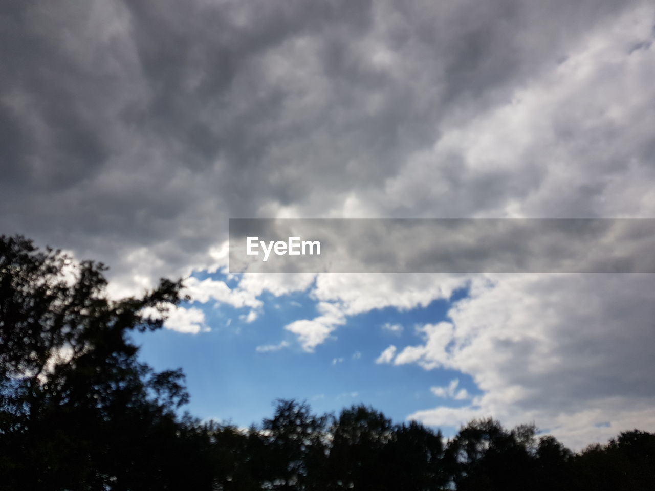 LOW ANGLE VIEW OF SILHOUETTE TREES AGAINST CLOUDY SKY