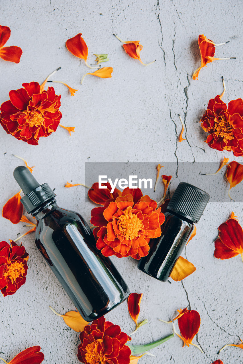 Top view of glass bottles of marigold essential oil with fresh orange yellow flowers and petals 