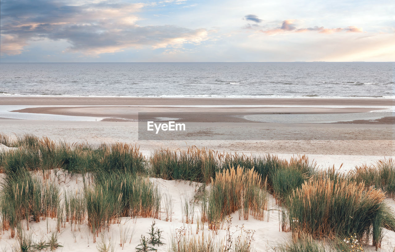 Dune landscape on the north sea beach