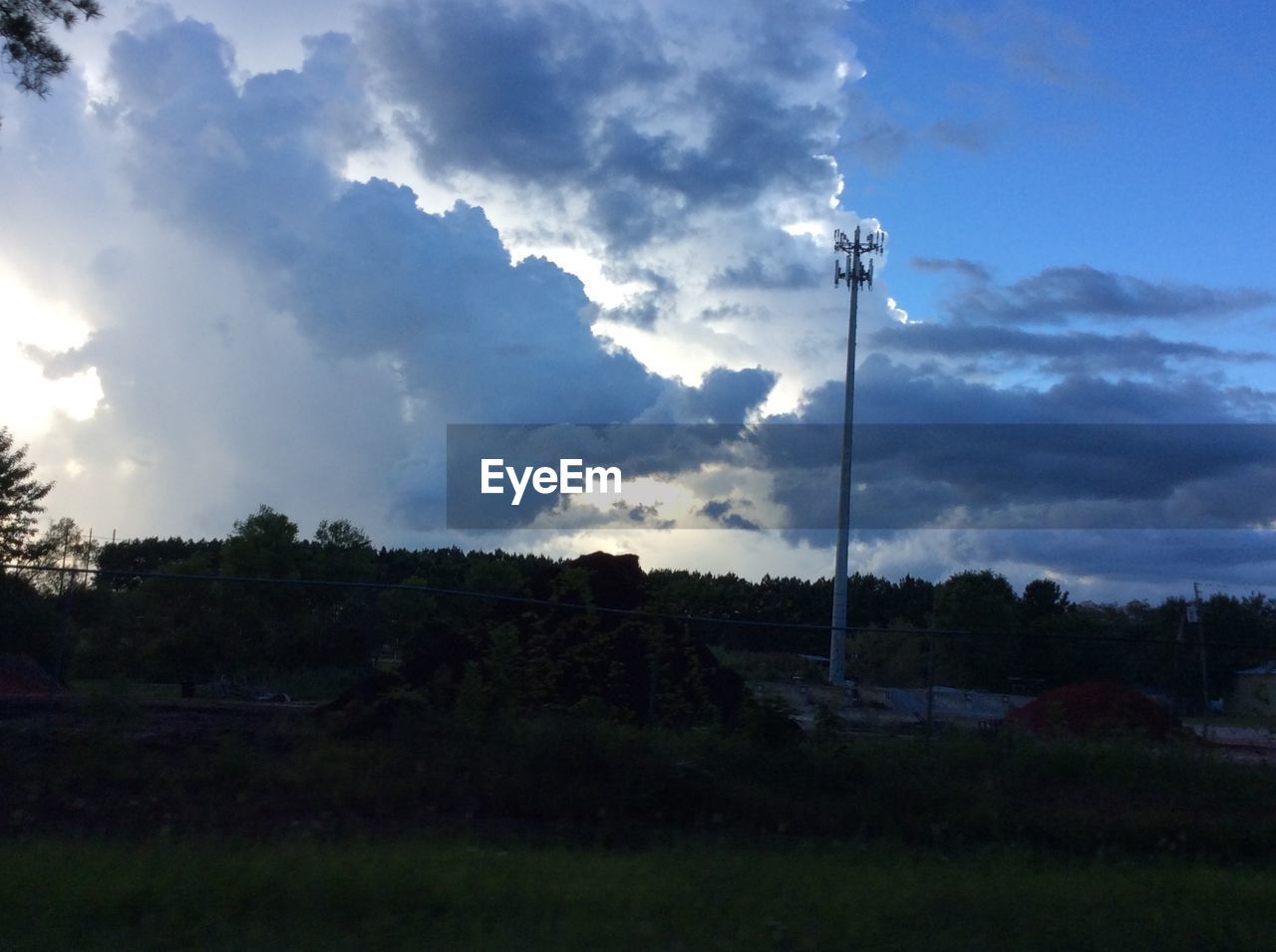 Trees on field against sky