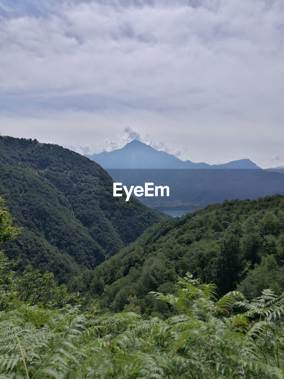 SCENIC VIEW OF MOUNTAIN AGAINST SKY