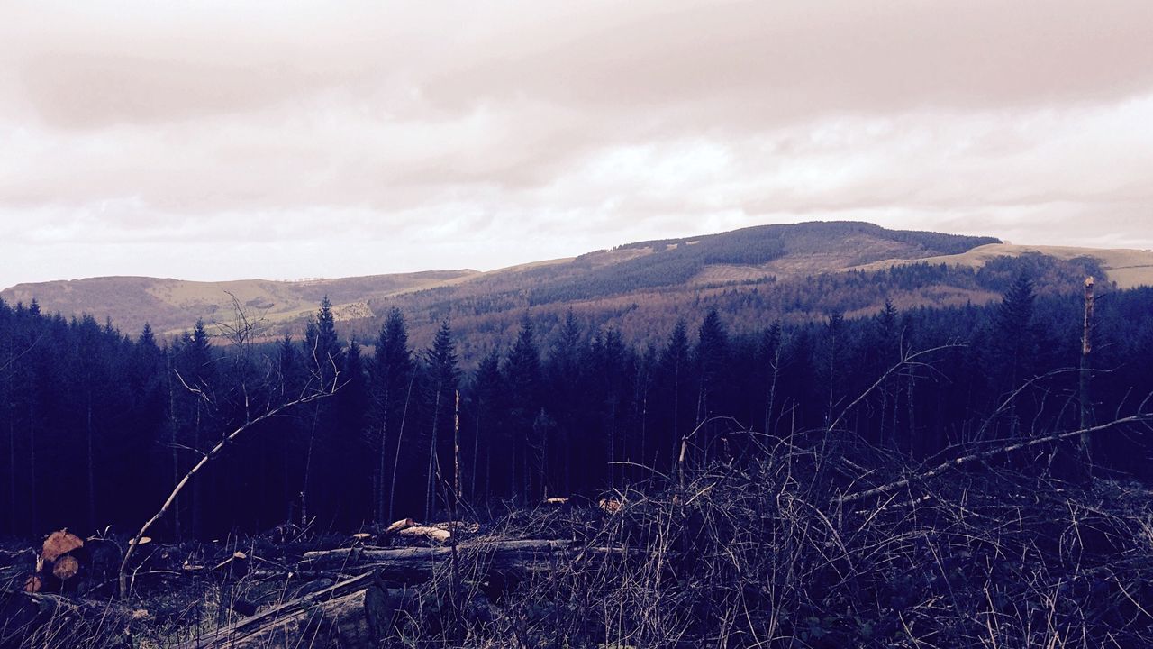 Scenic view of mountains against cloudy sky