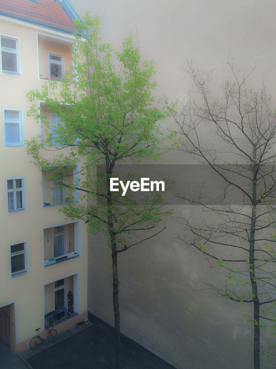 VIEW OF BUILDING WITH TREES IN BACKGROUND