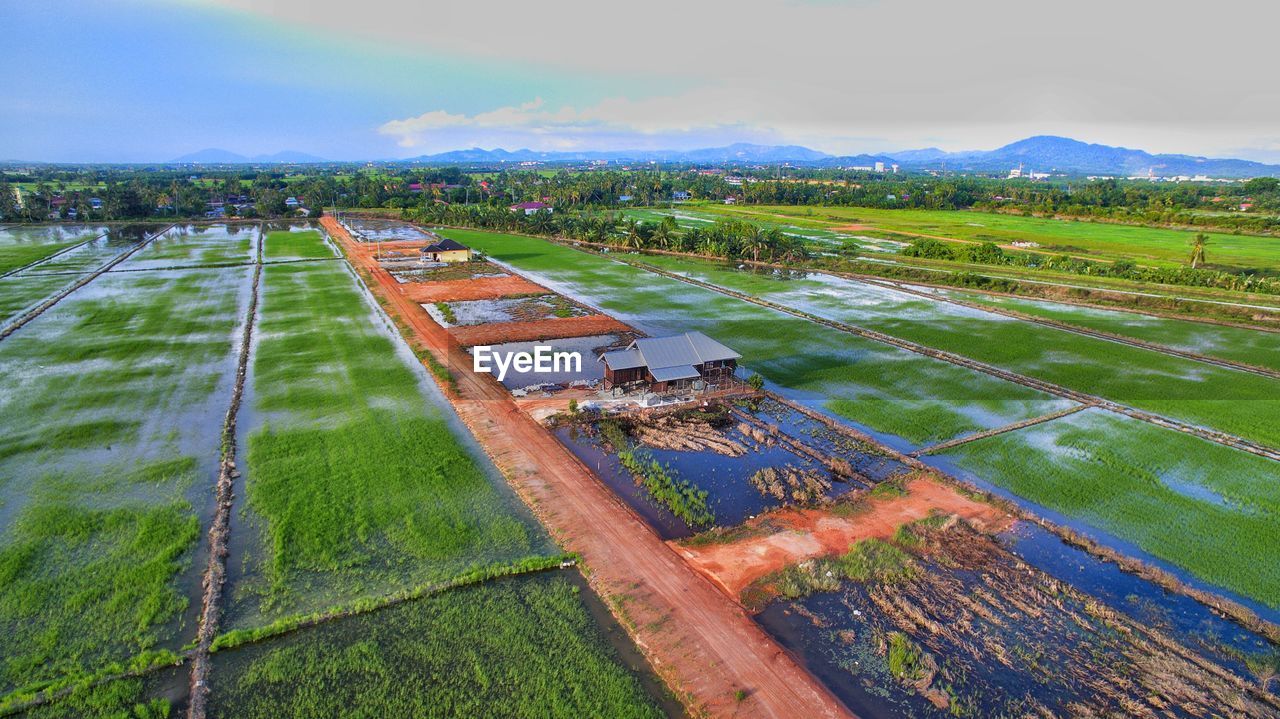 HIGH ANGLE VIEW OF AGRICULTURAL LANDSCAPE