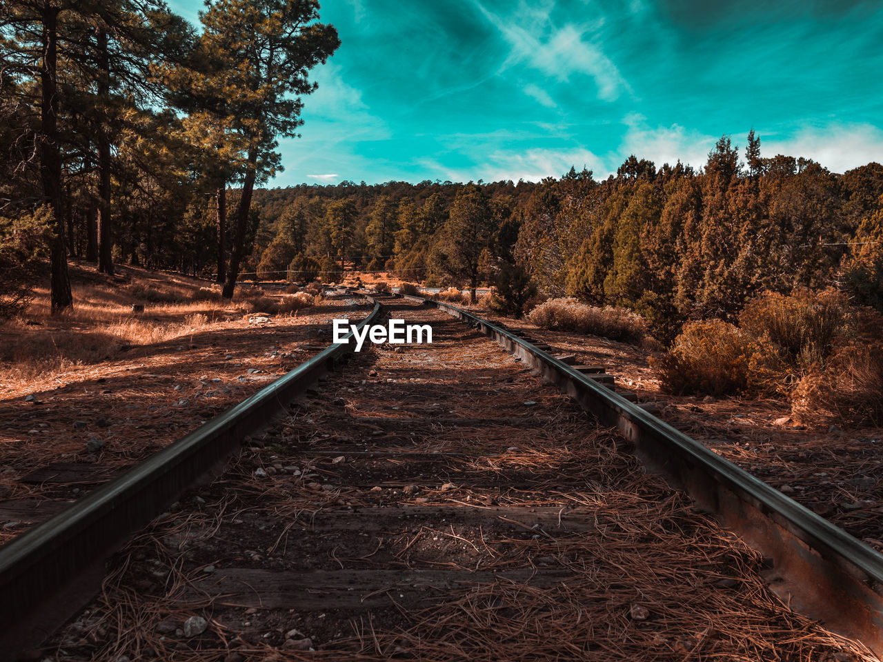 Low angle shot of train tracks at the grand canyon