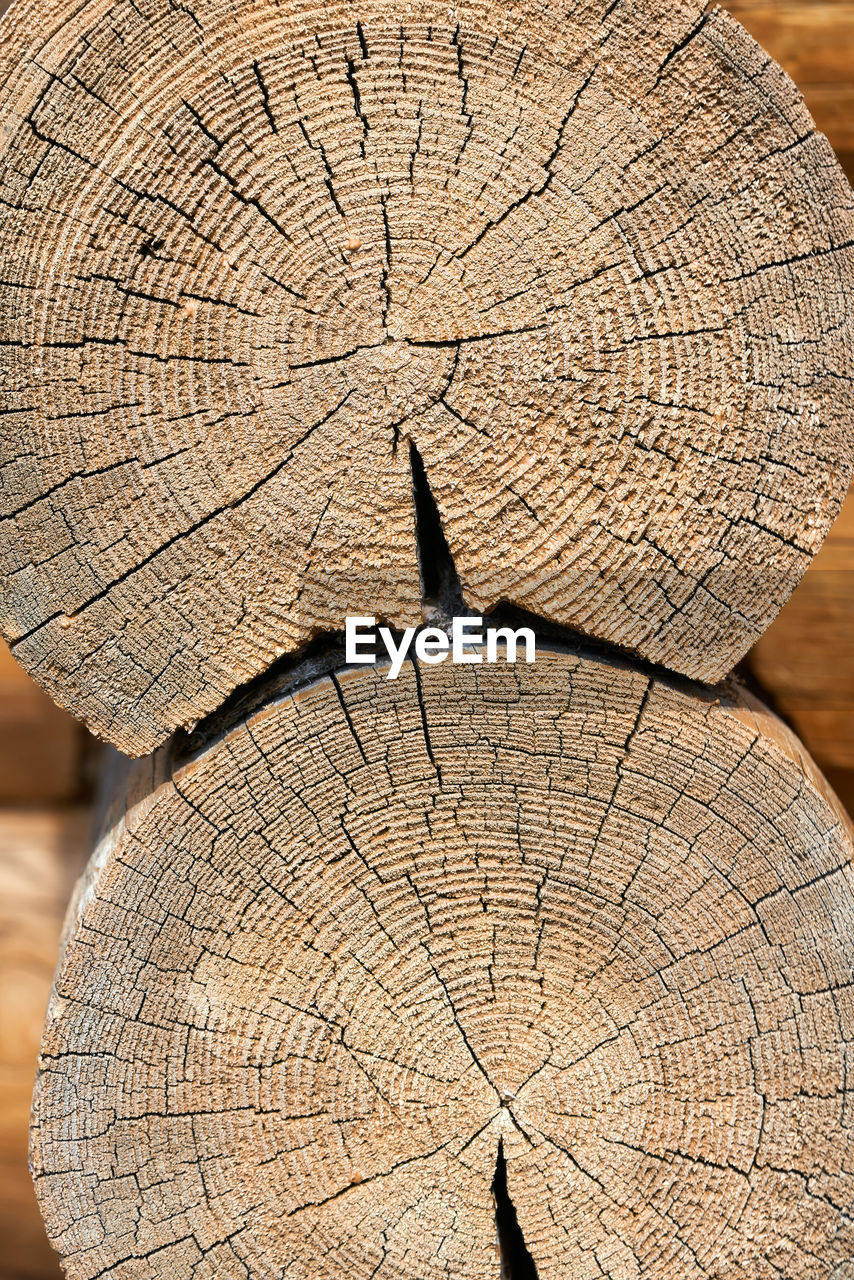 tree, tree ring, wood, tree stump, textured, leaf, timber, trunk, bark, close-up, deforestation, cross section, log, pattern, no people, forest, nature, circle, geometric shape, full frame, backgrounds, cracked, shape, plant, lumber industry, outdoors, environmental issues, day, firewood