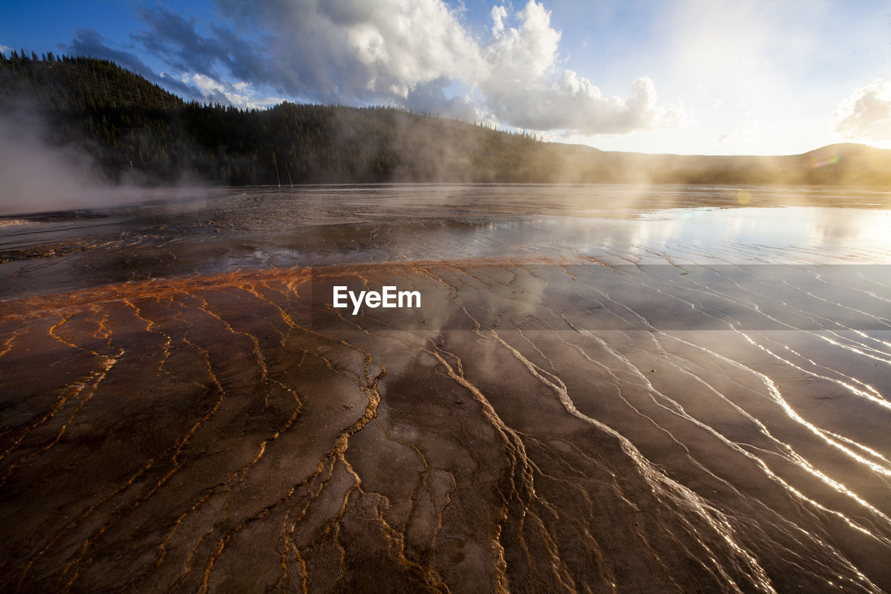 Yellowstone's geysers and thermal vents