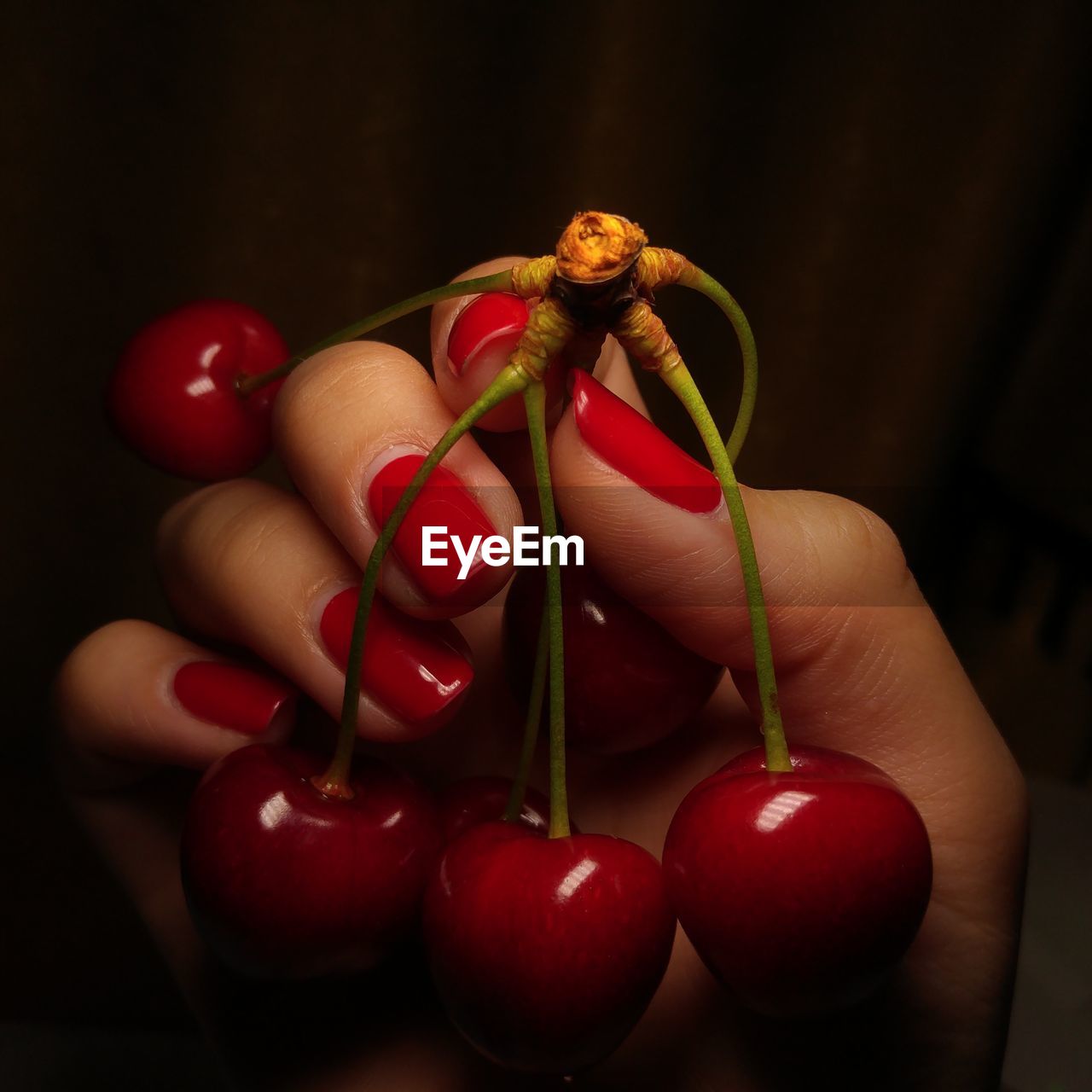 CLOSE-UP OF HAND HOLDING RED BERRIES