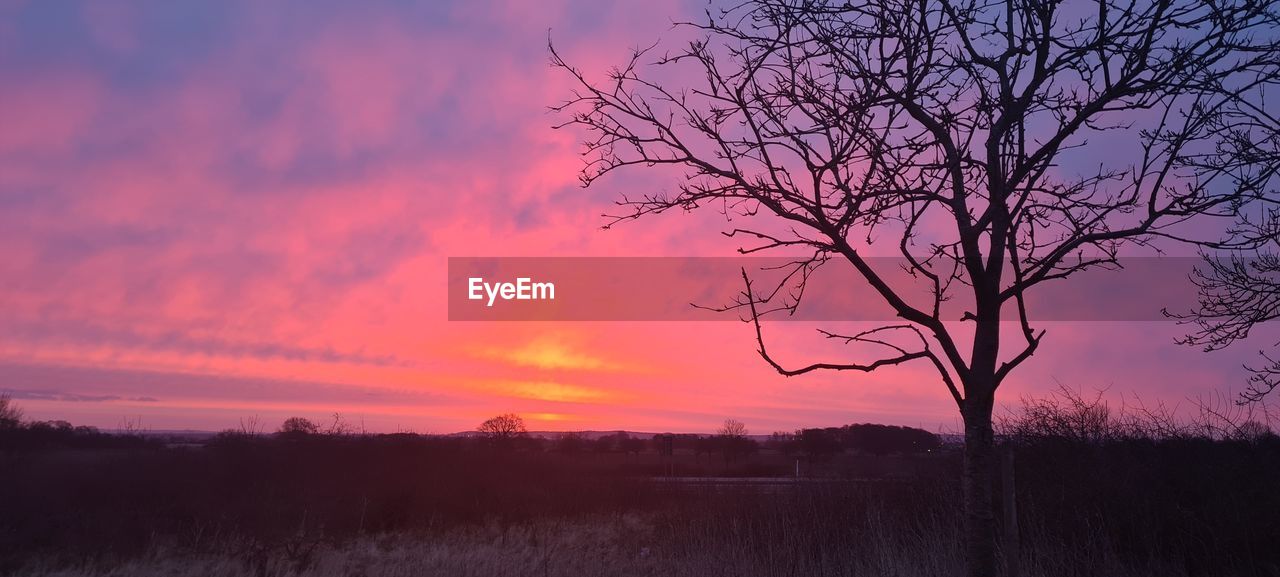 sky, sunset, tree, plant, beauty in nature, cloud, landscape, environment, bare tree, scenics - nature, nature, dawn, tranquility, tranquil scene, pink, silhouette, evening, no people, land, orange color, dramatic sky, field, red sky at morning, rural scene, afterglow, multi colored, branch, outdoors, idyllic, sun, non-urban scene, twilight, atmospheric mood, purple, grass, romantic sky, horizon, vibrant color, red, agriculture, moody sky, horizon over land