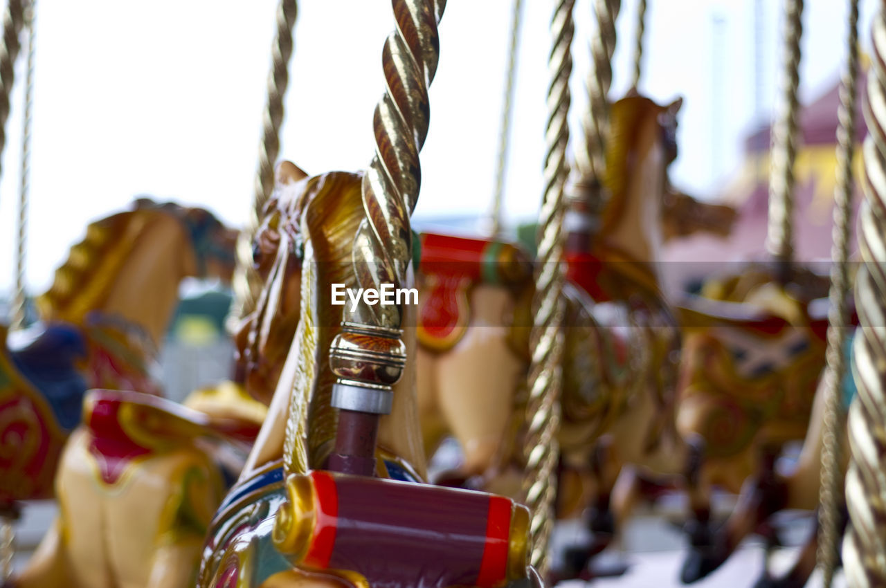 Carousel horses in amusement park