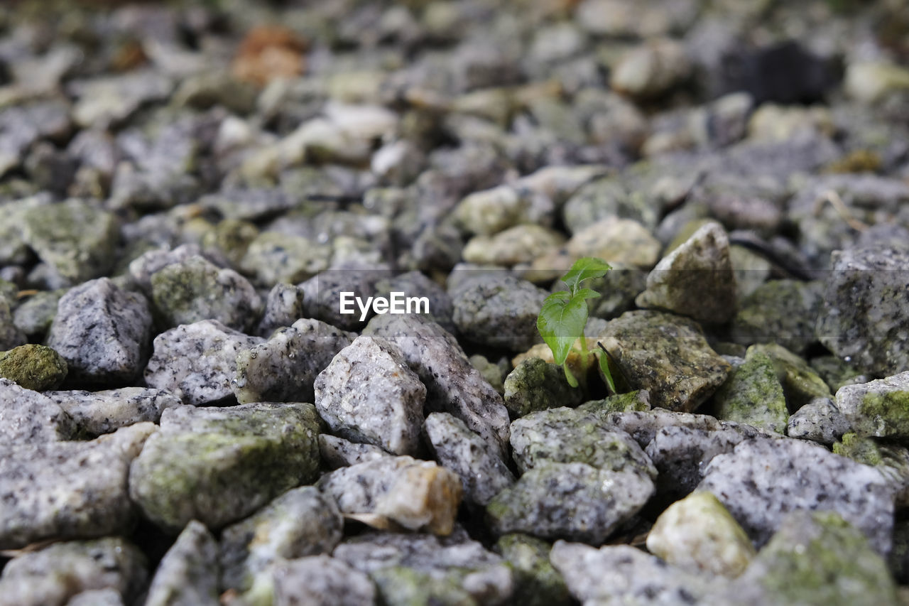 FULL FRAME SHOT OF ROCKS ON PEBBLES