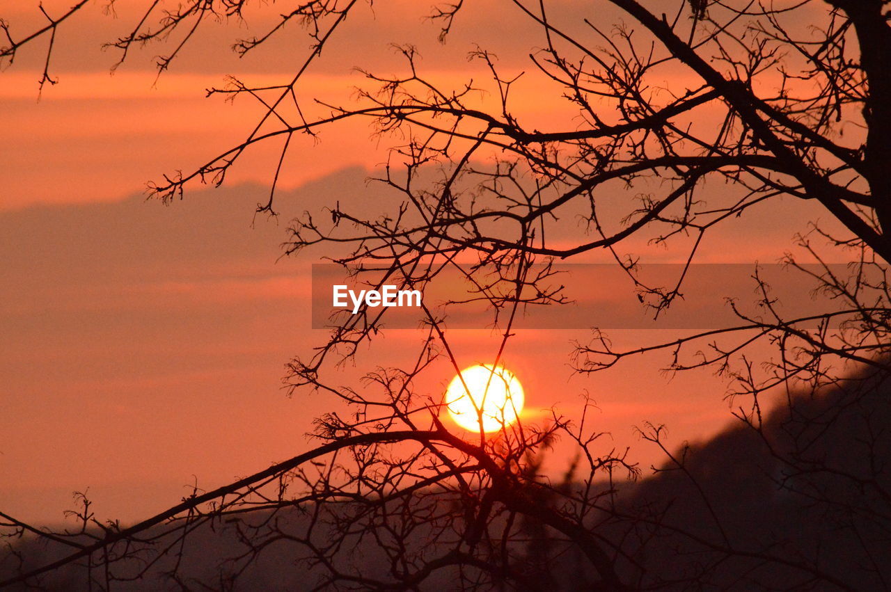 Low angle view of orange sky during sunset