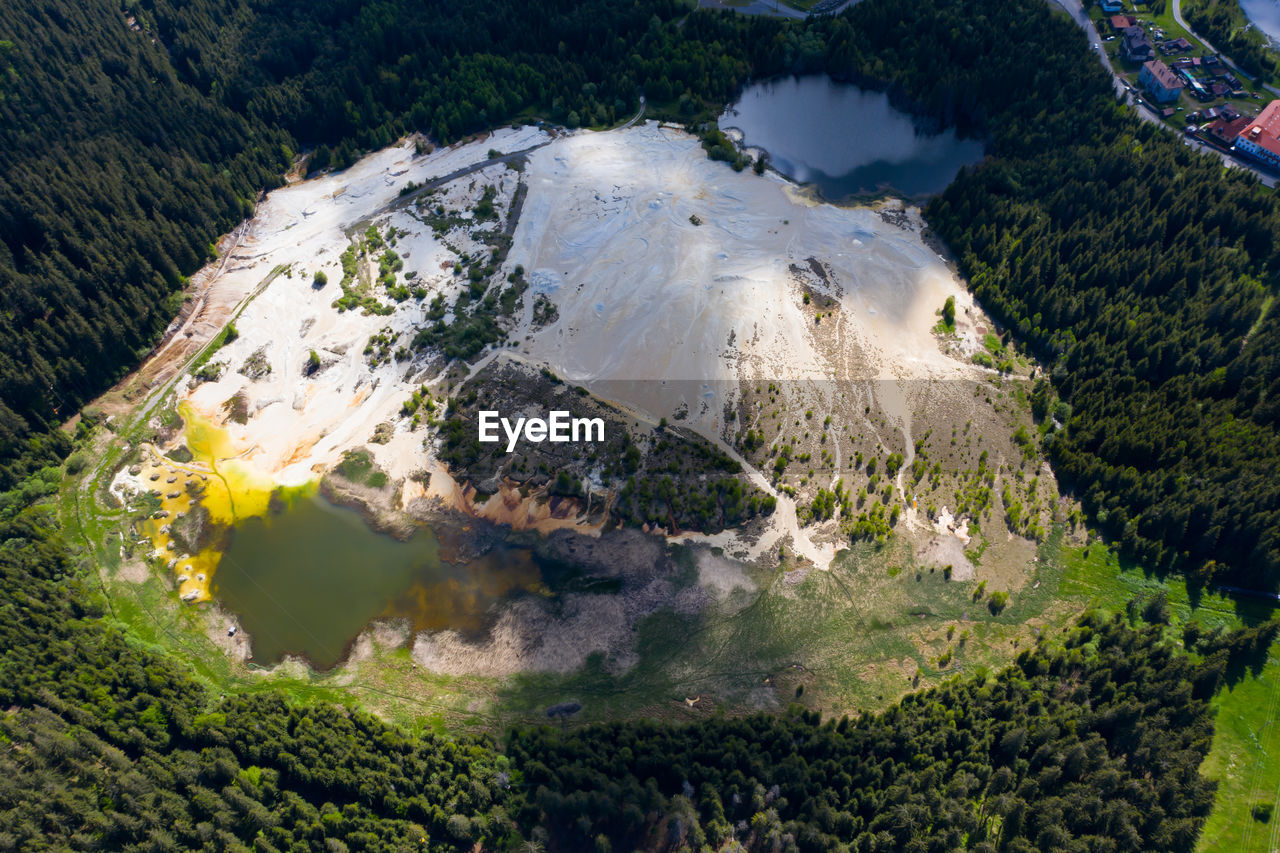 HIGH ANGLE VIEW OF TREES ON MOUNTAIN