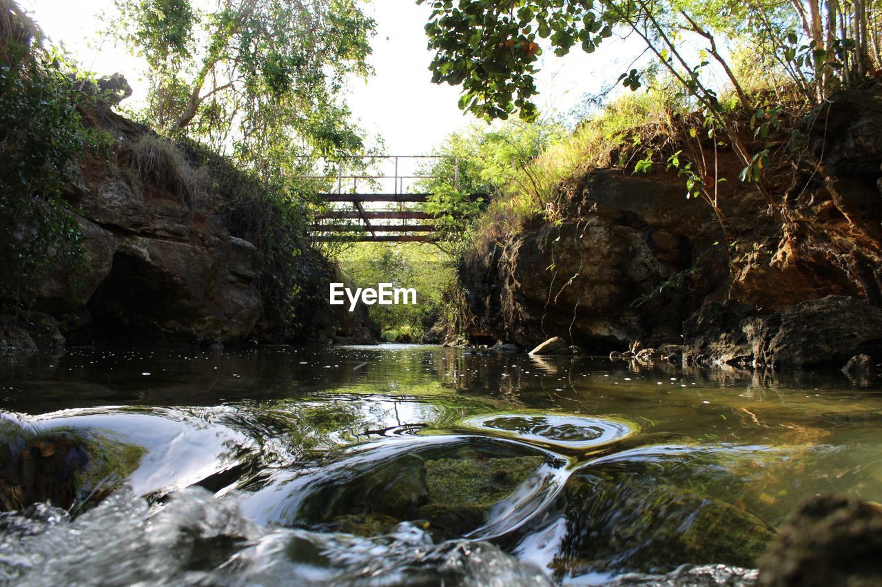 SCENIC VIEW OF RIVER FLOWING THROUGH FOREST