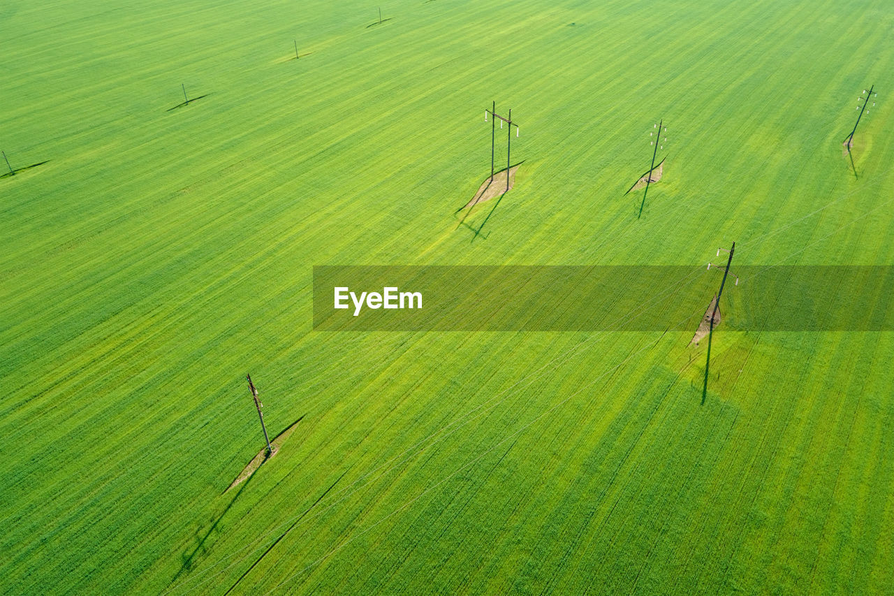 Green agricultural field with electric power transmission towers, aerial view.