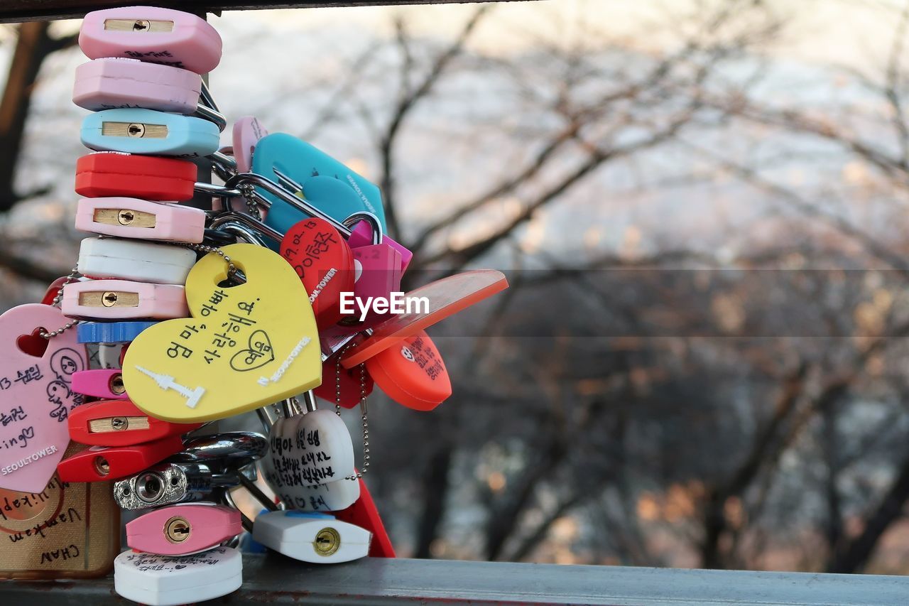 focus on foreground, no people, tree, day, spring, positive emotion, protection, emotion, security, outdoors, nature, love, toy, communication, hanging, close-up