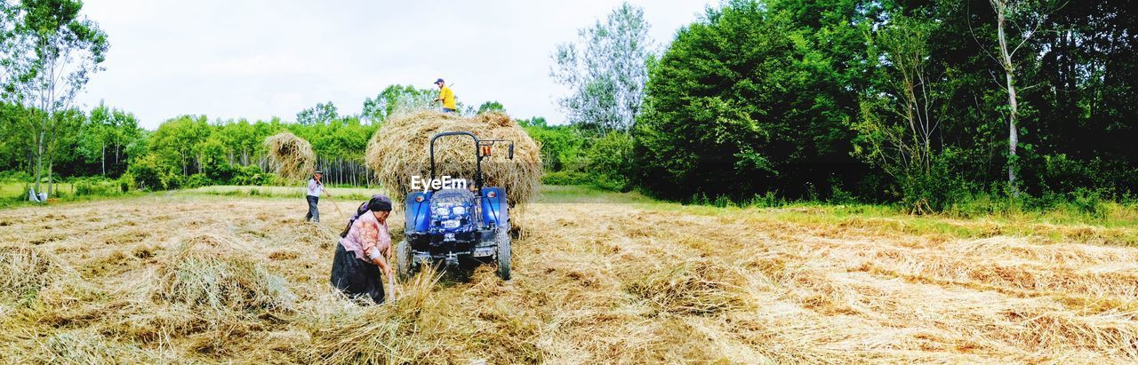 MAN IN FARM AGAINST SKY