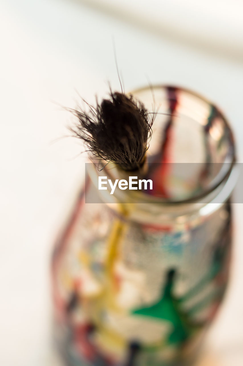 Close-up of paintbrush in jar