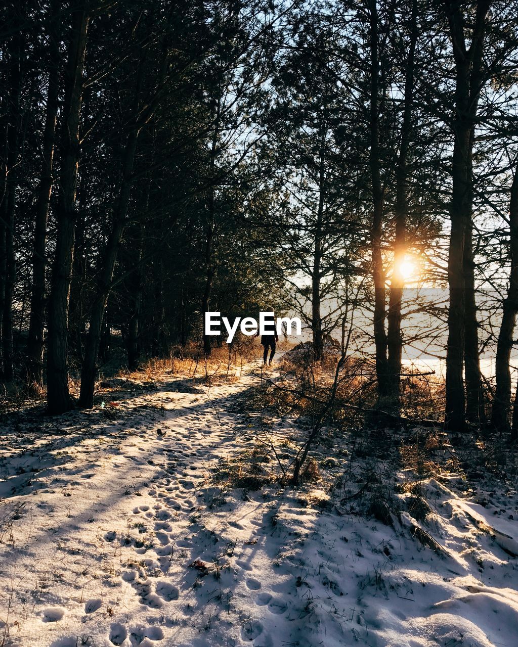 Woman in forest on snow covered landscape