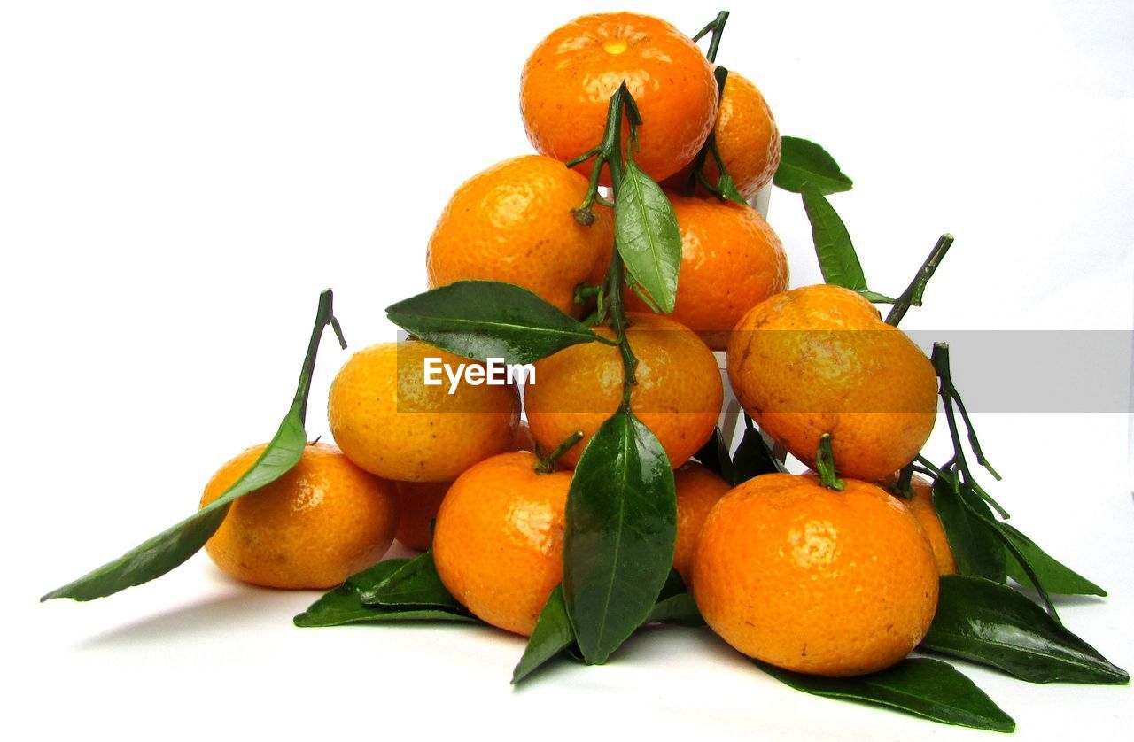 CLOSE-UP OF ORANGE FRUITS