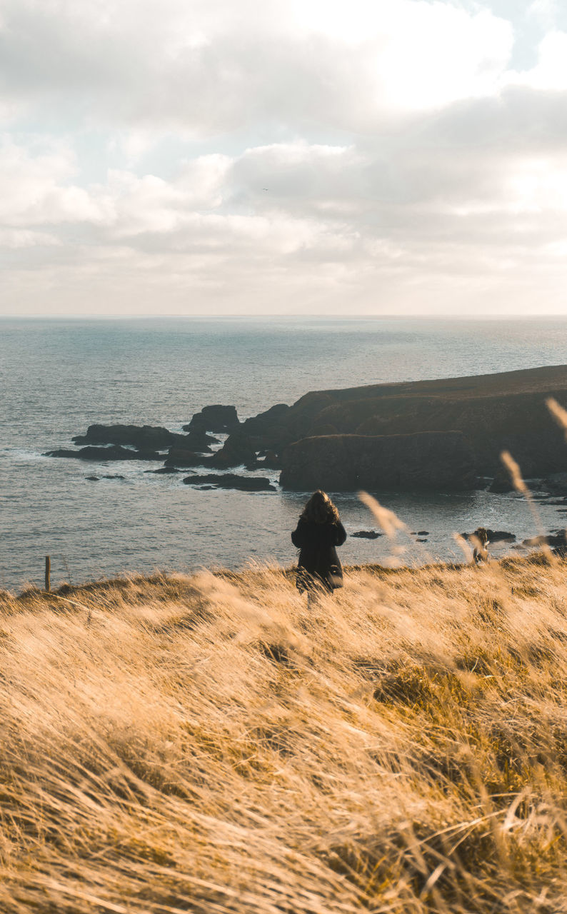 SCENIC VIEW OF SEA AND SHORE AGAINST SKY