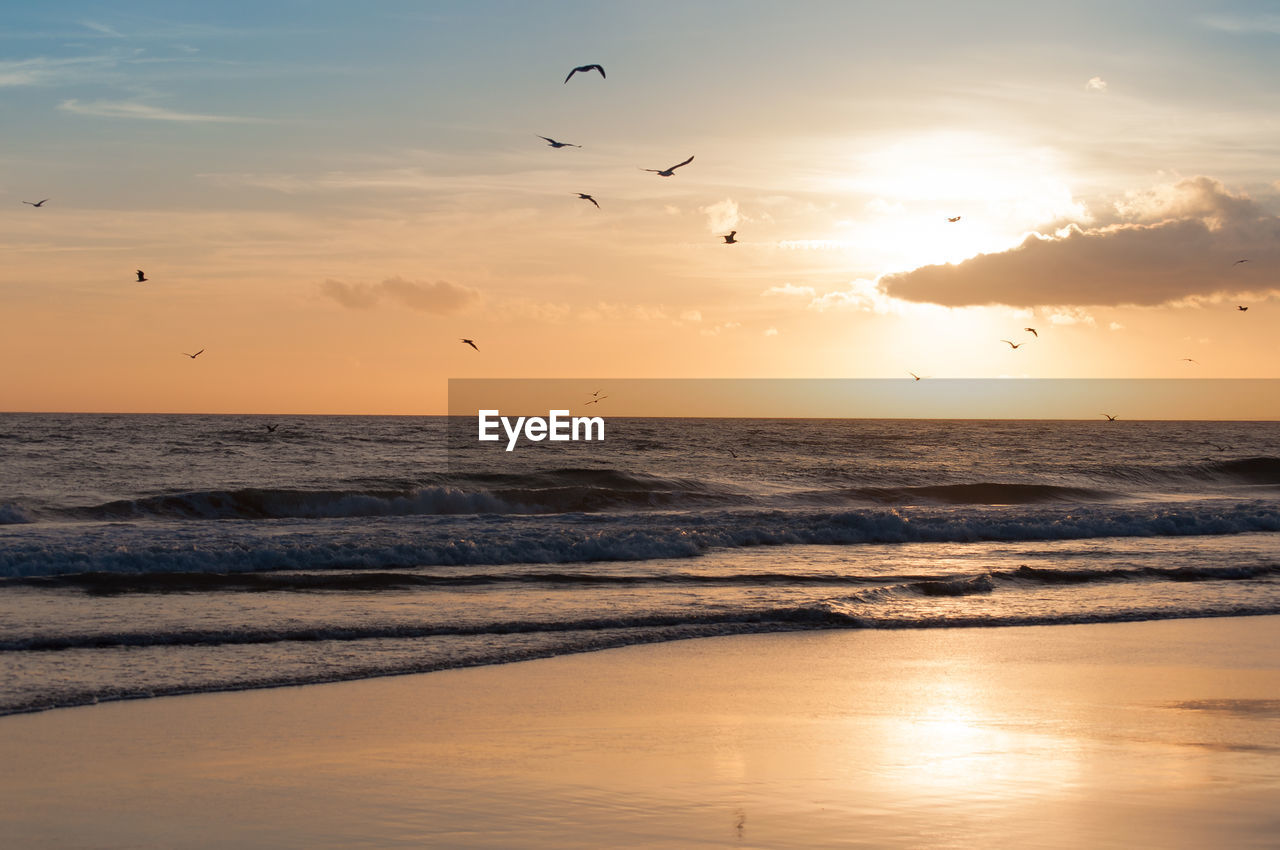 Birds flying over sea against sky during sunset